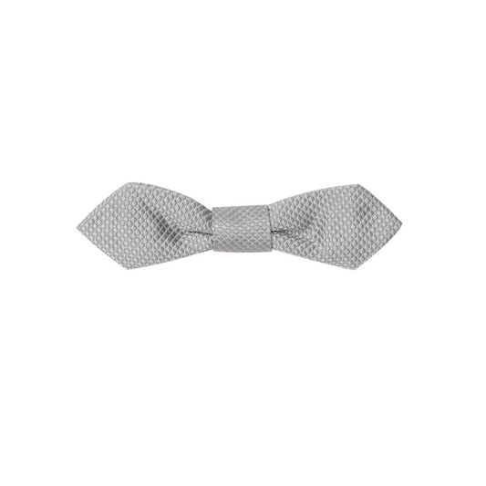 Dolce & Gabbana Gray Silk Ties & Bowty