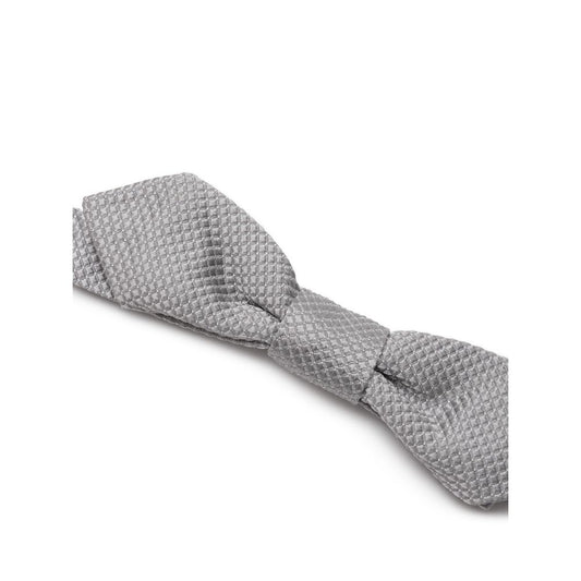Dolce & Gabbana Gray Silk Ties & Bowty